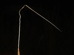 Hesperostipa curtiseta