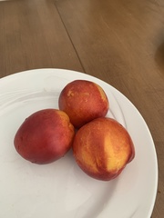 Prunus persica nucipersica