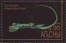 Chun's Telescopefish photo 3
