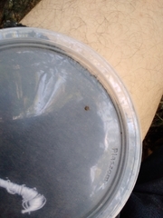 Hypognatha