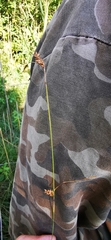 Carex hostiana