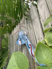 Argiope argentata image