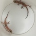 photo of Mediterranean House Gecko (Hemidactylus turcicus)