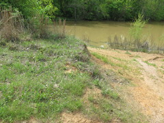 Escobaria missouriensis