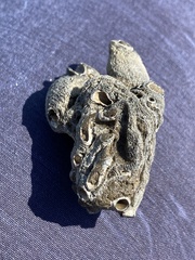Vermetoidea