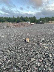 Vulpes vulpes deletrix