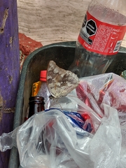 Archaeoprepona demophoon