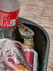 Archaeoprepona demophoon