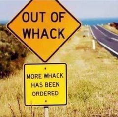 Cantharellus tabernensis