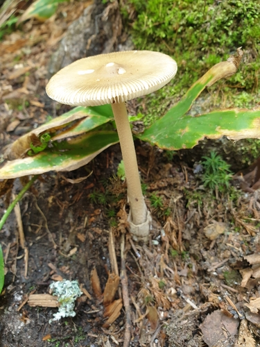 Sentier Frontalier 8