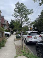 Gleditsia triacanthos