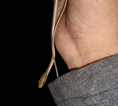 Dendrelaphis girii