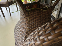 Dendrelaphis marenae