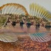 Etheostoma thalassinum - Photo (c) Kevin Metcalf, μερικά δικαιώματα διατηρούνται (CC BY-NC), uploaded by Kevin Metcalf