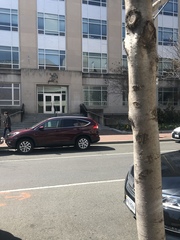 Diatrype disciformis