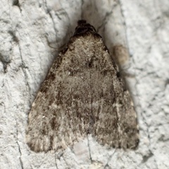 Dyspyralis