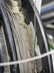 Bythotrephes longimanus