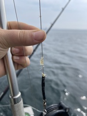 Bythotrephes longimanus