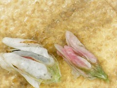 Polygonum polygaloides kelloggii