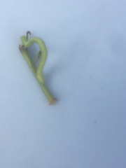 Cyclophora punctaria