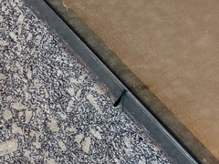 Calopteryx splendens