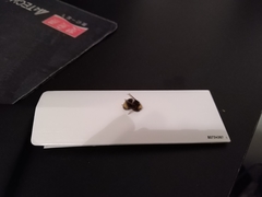 Bombus haematurus