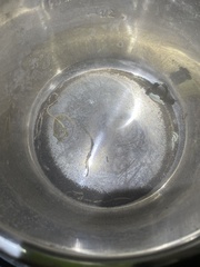 Thyreophagus entomophagus