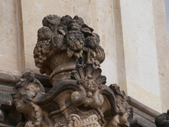 Phoenicurus ochruros