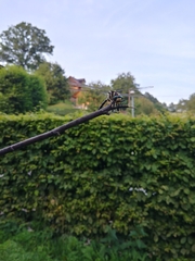 Cordulegaster boltonii