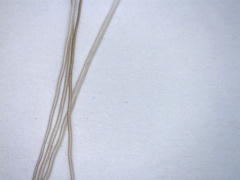 Hydropotes inermis argyropus