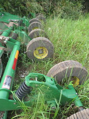 Eragrostis capillaris