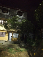 Melicoccus bijugatus