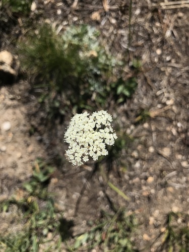 Hopkins Lake Trail