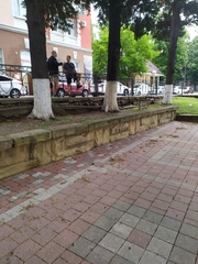 Streptopelia decaocto