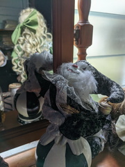 Haritalodes obliqualis