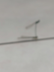 Platycnemis pennipes