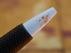 Gymnopilus subpurpuratus