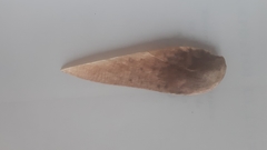 Schizolobium parahyba