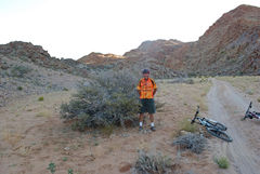 Boscia foetida foetida