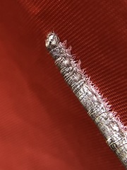 Catocala ultronia