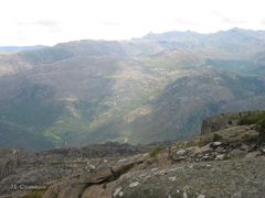 Petrosedum pruinatum
