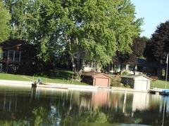 Dendrocygna autumnalis