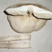 Macrolepiota zeyheri - Photo (c) Ann, some rights reserved (CC BY-NC)