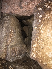 Nyctinomops laticaudatus