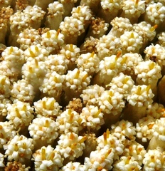 Syncarpha milleflora