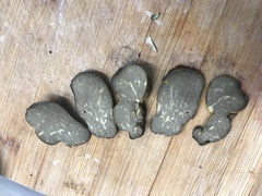 Truncocolumella citrina