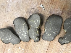 Truncocolumella citrina