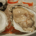 Common Oyster - Photo (c) Heather Joan, some rights reserved (CC BY-NC-ND)