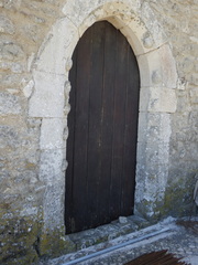 Lecanographa grumulosa