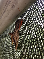 Protambulyx euryalus